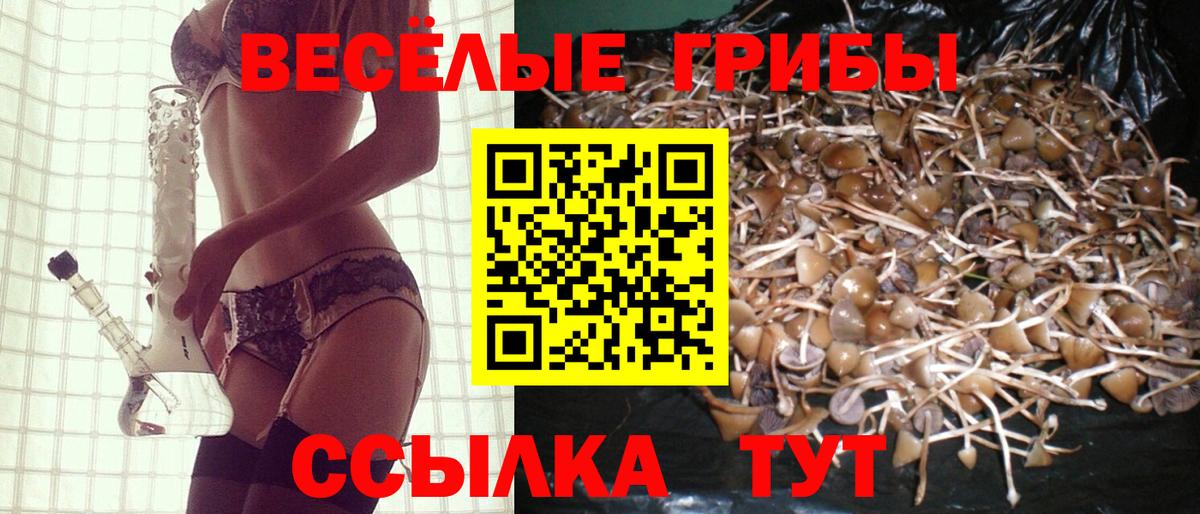Галлюциногенные грибы мухоморы  Вход с VPN  Нальчик 